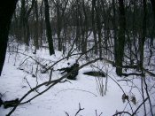 PIC_0006.jpg