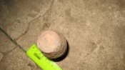 IMG_1373.jpg