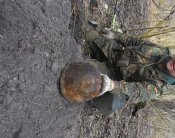 P_20160327_124851.jpg