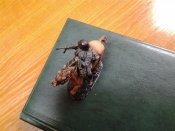 20160722_162242.jpg