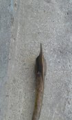 20160723_172610.jpg