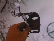 Зобр029.jpg