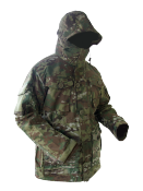 10735787.png