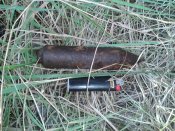 2016-07-22 19.05.19.jpg