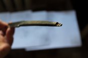 IMG_8892.JPG