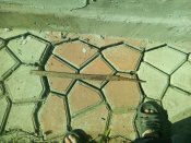 IMG_20160724_172631.jpg