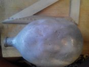 IMG_20160723_151150.jpg