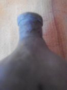IMG_20160723_151013.jpg