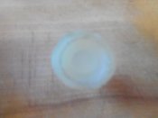 IMG_20160723_150948.jpg