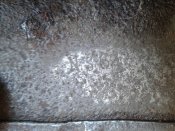 20160725_110405.jpg