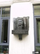 57_41.jpg