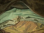 DSC01331.jpg