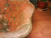 DSC01476.JPG