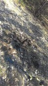 P_20160326_103229.jpg