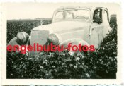 K_BELWAGEN_Frankreich_DAIMLER_BENZ_TARNU.jpg