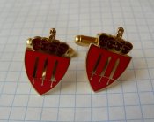 Запонки (формы ВВС Швеции)