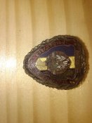 IMG_20160725_213949.jpg