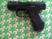 IMG-20160726-00174.jpg