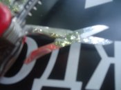 DSC02134.JPG