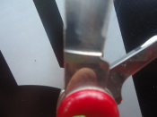DSC02139.JPG