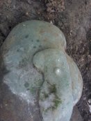 20160727_142533.jpg
