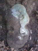 20160727_142701.jpg