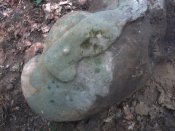 20160727_143030.jpg