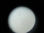 DSC02185.JPG