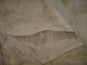 DSC02543.JPG