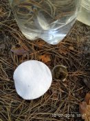 IMG_2016-07-10_184745.jpg