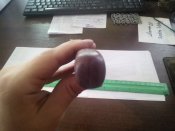 IMG_20160729_135824.jpg