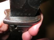 IMG_1118.jpg