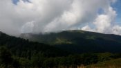 IMG_20160730_115013.jpg