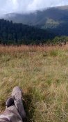 IMG_20160730_115051.jpg