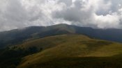 IMG_20160730_123046.jpg
