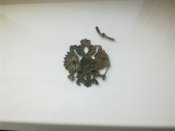 3107201613103.jpg