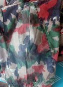 img1.jpg