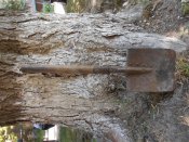 DSCN2869.jpg