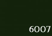 6007.JPG