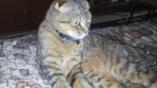 IMG_2016-08-02_174318.jpg
