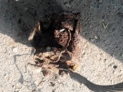 20160730172331.jpg