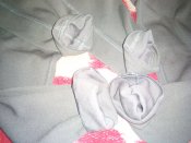 IMG_20160803_162045.jpg