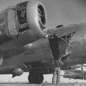 b29.jpg