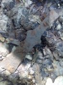 IMG_20160804_124929.jpg