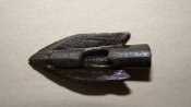 DSC08356.JPG