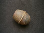 PIC_4081.JPG
