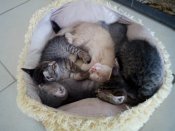 IMG_20160805_110322.jpg