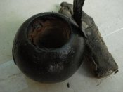 DSC08519.JPG