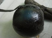 DSC08521.JPG
