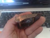 110320113247.jpg